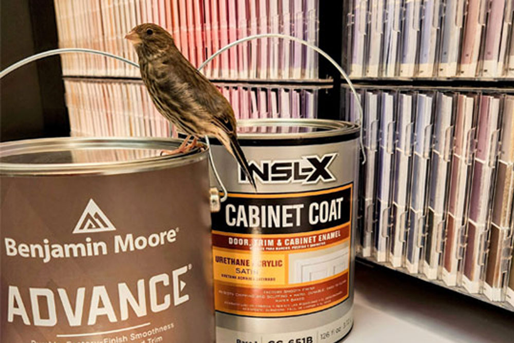 Benjamin Moore Benjamin Moore