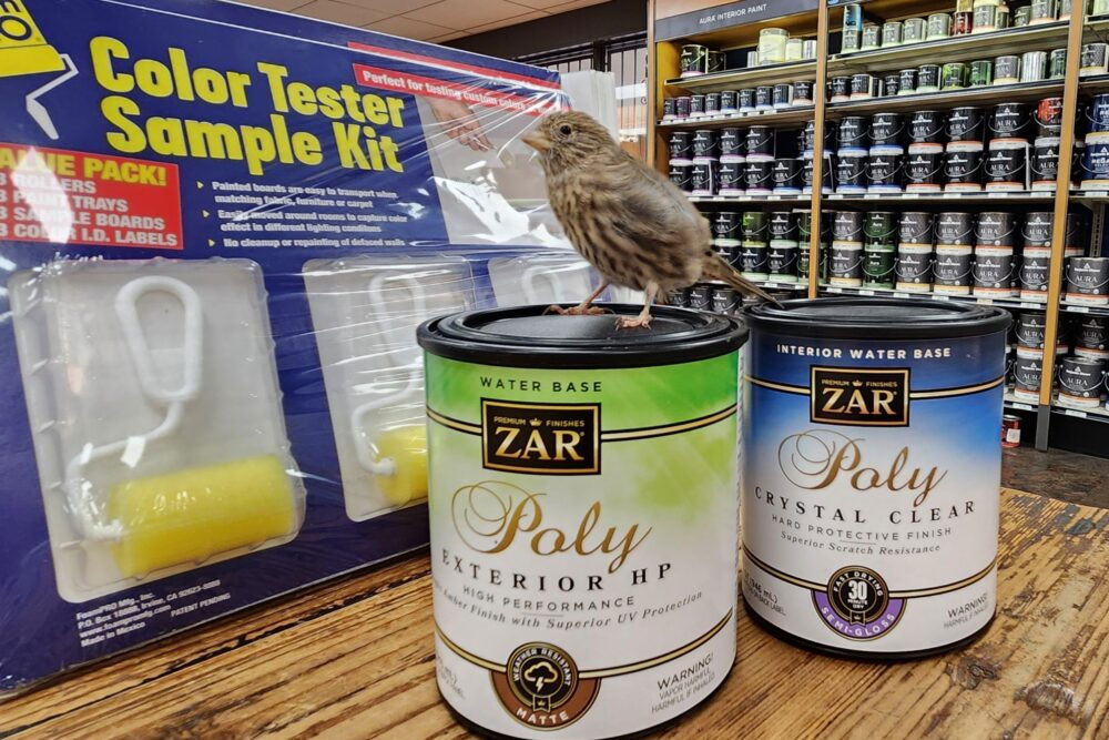 Benjamin Moore Benjamin Moore